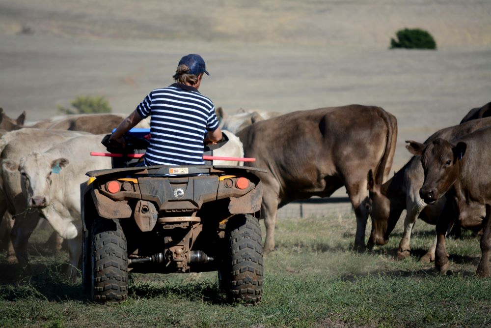 Farmer on a quad bike